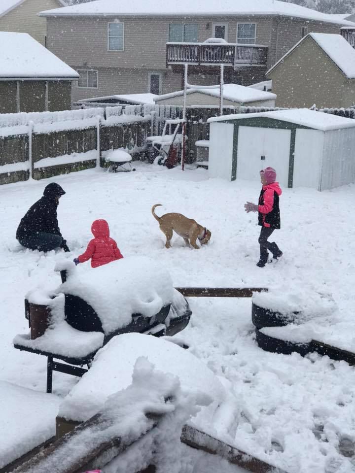 Snow, 10/14